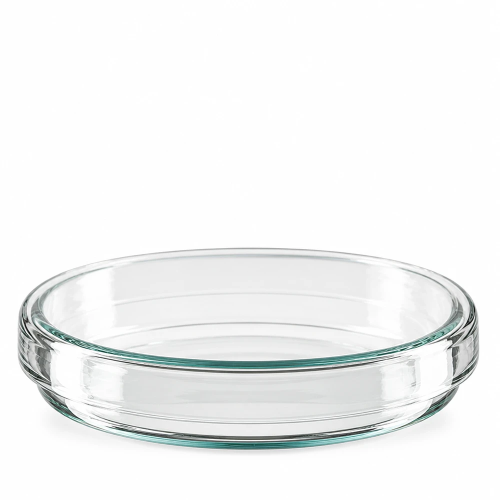 Petriskål 80x15mm glas Enkeltstående petriskål af glas, 80 x 15 mm, fotograferet ovenfra og fra siden på hvid baggrund
