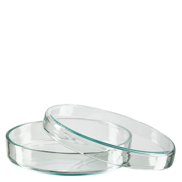 Petriskål 80x15mm glas Petriskål 80x15mm glas