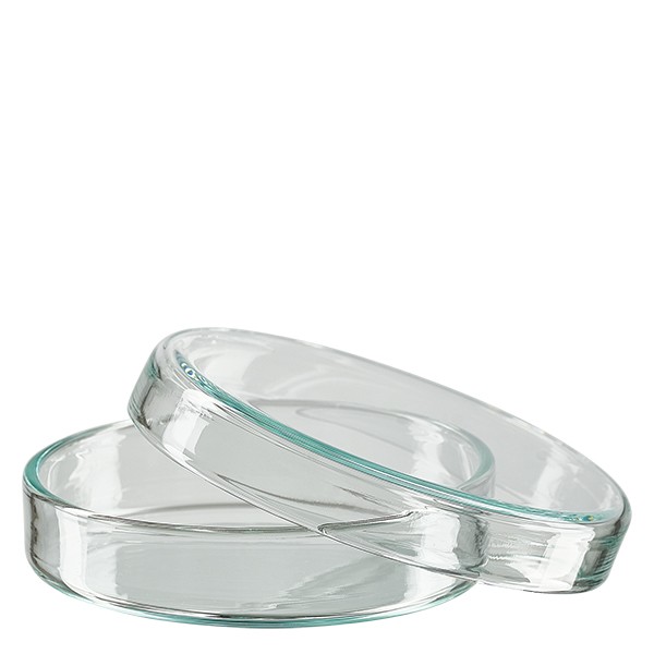 60 mm petriskål af klart laboratorieglas til dyrkning af mikroorganismer og cellekulturer. Højde 15 mm