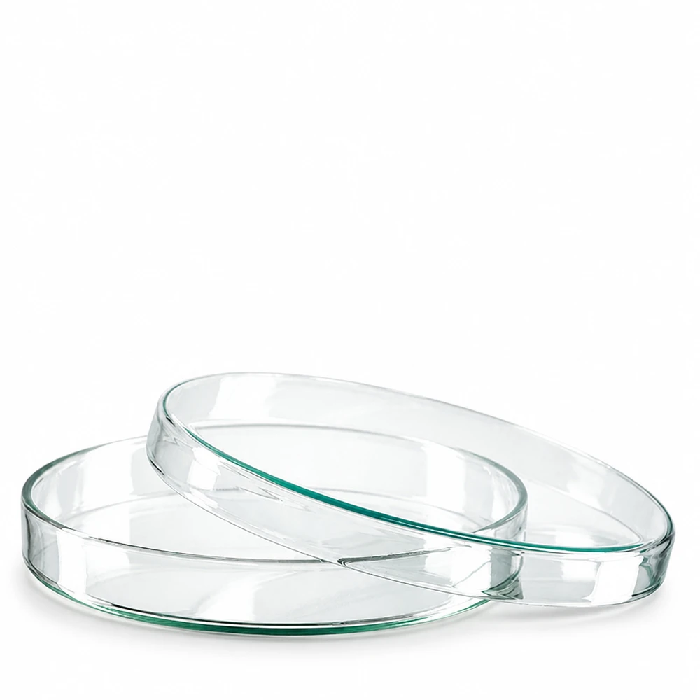 Petriskål 120x20mm glas To runde petriskåle af glas, 120 x 20 mm, stablet oven på hinanden på en hvid baggrund