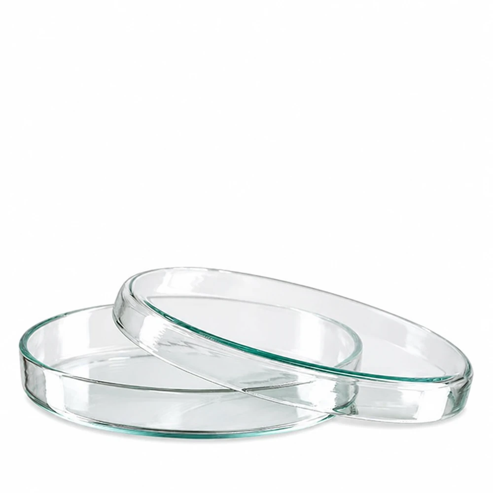 Petriskål 90x15mm glas To petriskåle af klart glas, 90 x 15 mm, stablet oven på hinanden på en hvid baggrund