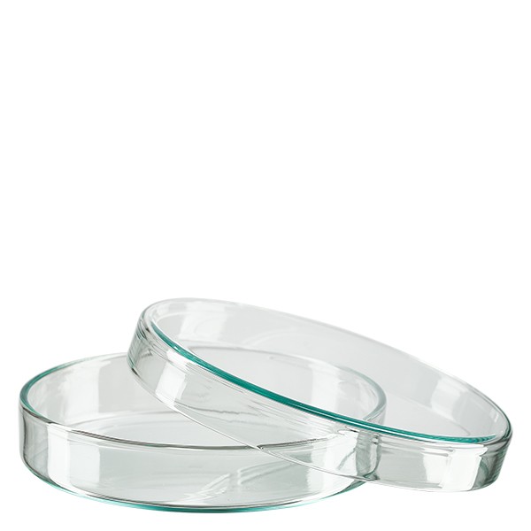 Petriskål 100x20mm glas