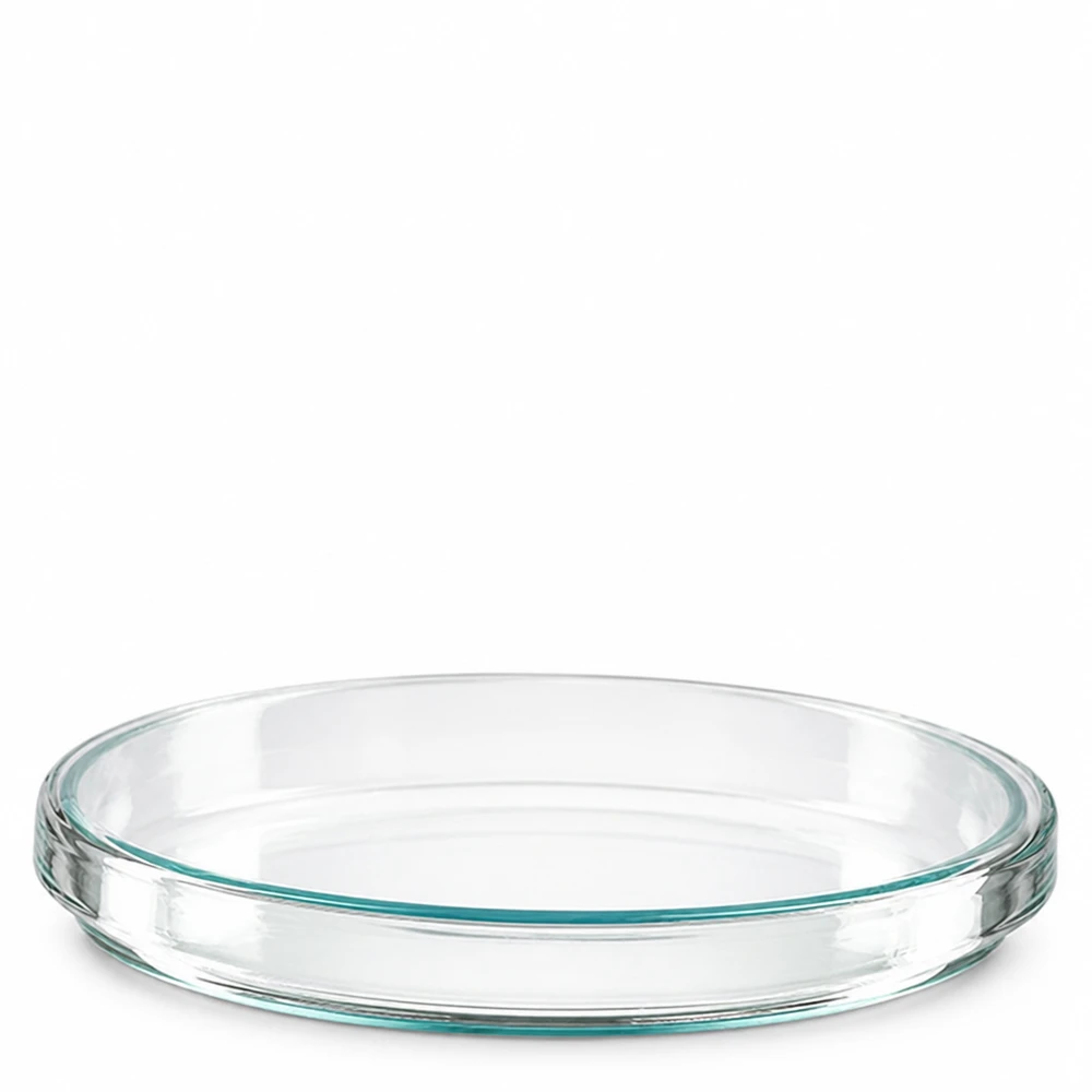 Petriskål 100x15mm glas Enkelt glas-petriskål, 100 x 15 mm, set ovenfra og fra siden på hvid baggrund