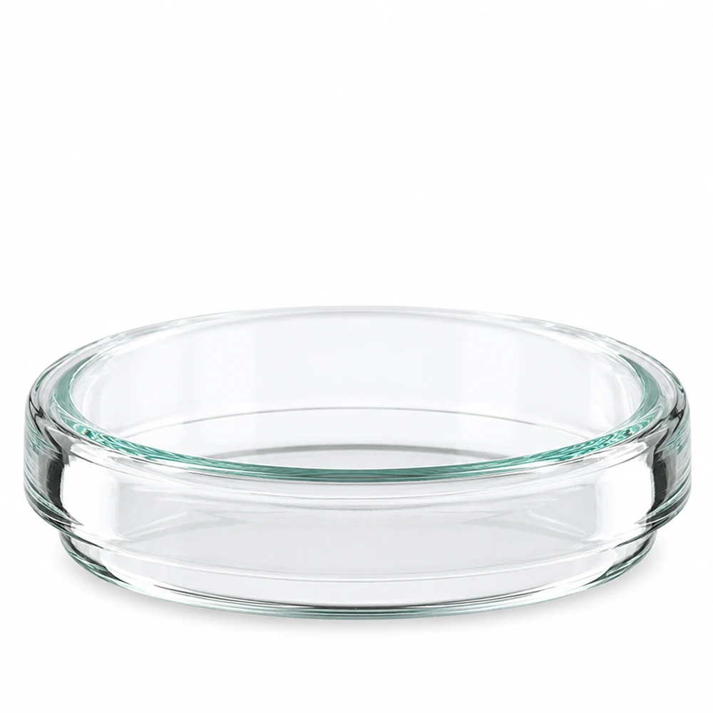 Enkelt glas-petriskål, 60 x 15 mm, tom og gennemsigtig, set forfra på hvid baggrund