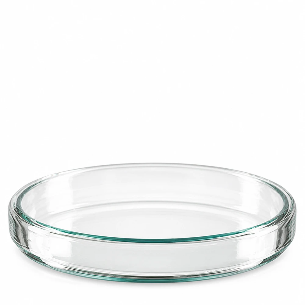 Enkelt Petriskål af gennemsigtigt borosilikatglas, 90 x 15 mm, fotograferet skråt ovenfra