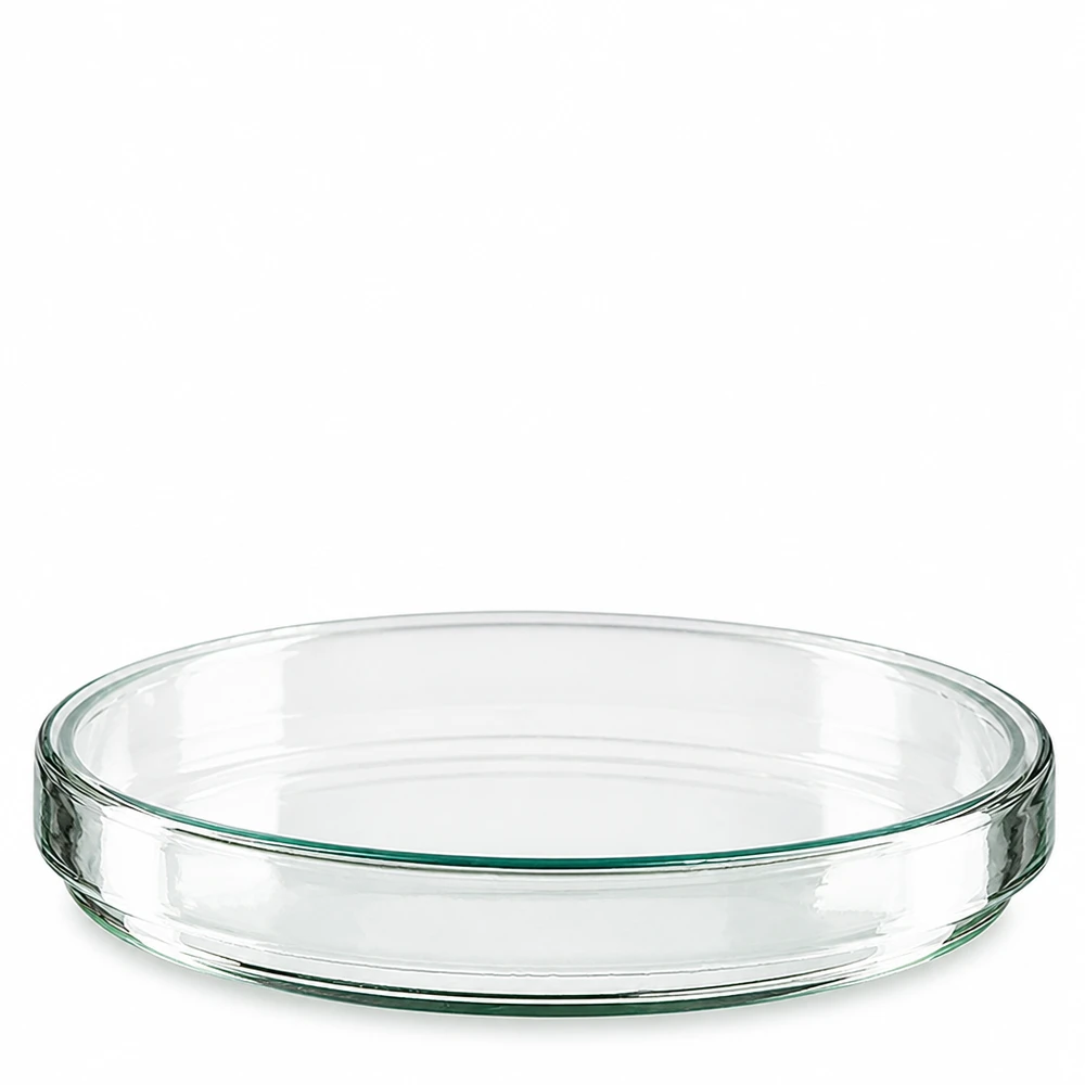 En enkelt tom Petriskål af glas, 120 x 20 mm, set ovenfra forfra på hvid baggrund